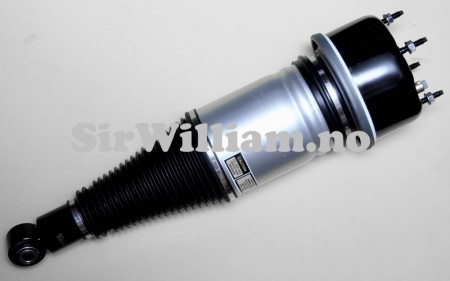 Luftfjør og demper, bak, standardfjøring