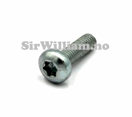 Skrue, torx, M6 x 20mm