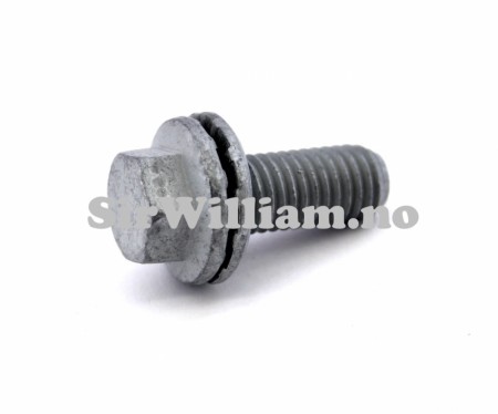 Bolt, med låseskive, M10 x 25mm