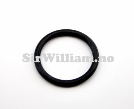 O-ring