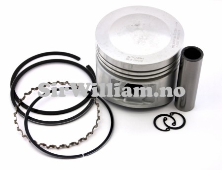 Stempel, med fjører, sett, +0,020''